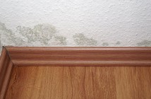Rivestire con pannelli le pareti umide Rivestimenti per pareti interne umide