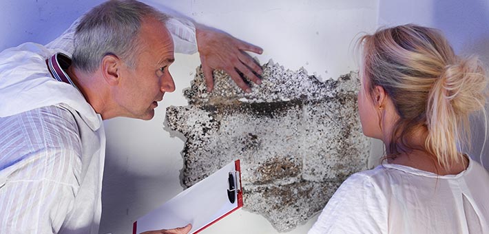 Rivestire con pannelli le pareti umide Rivestimenti per pareti interne umide